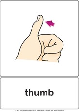 Bildkarte - thumb.pdf